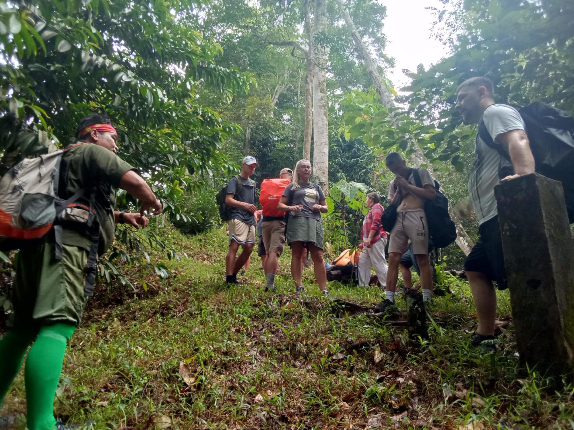 Jungle Treking & Jungle Tour If You Want To Stay Here,You Must Book Treking Only With Us Bukit Lawang Exterior foto